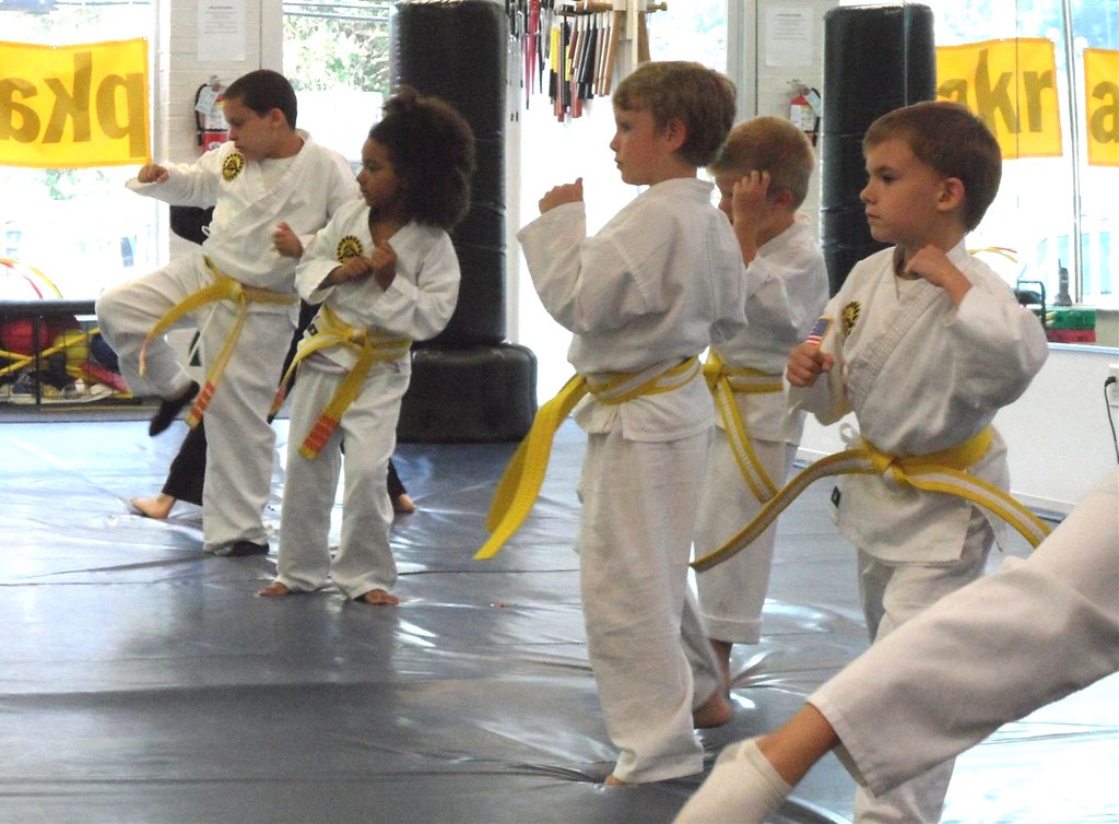 5b31c4b7 8c5f 4dfa 9cdd fe050fe5773b - How to Build a Strong Martial Arts Community at Your School