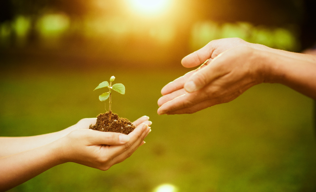 111 - Student Booster Pack Content